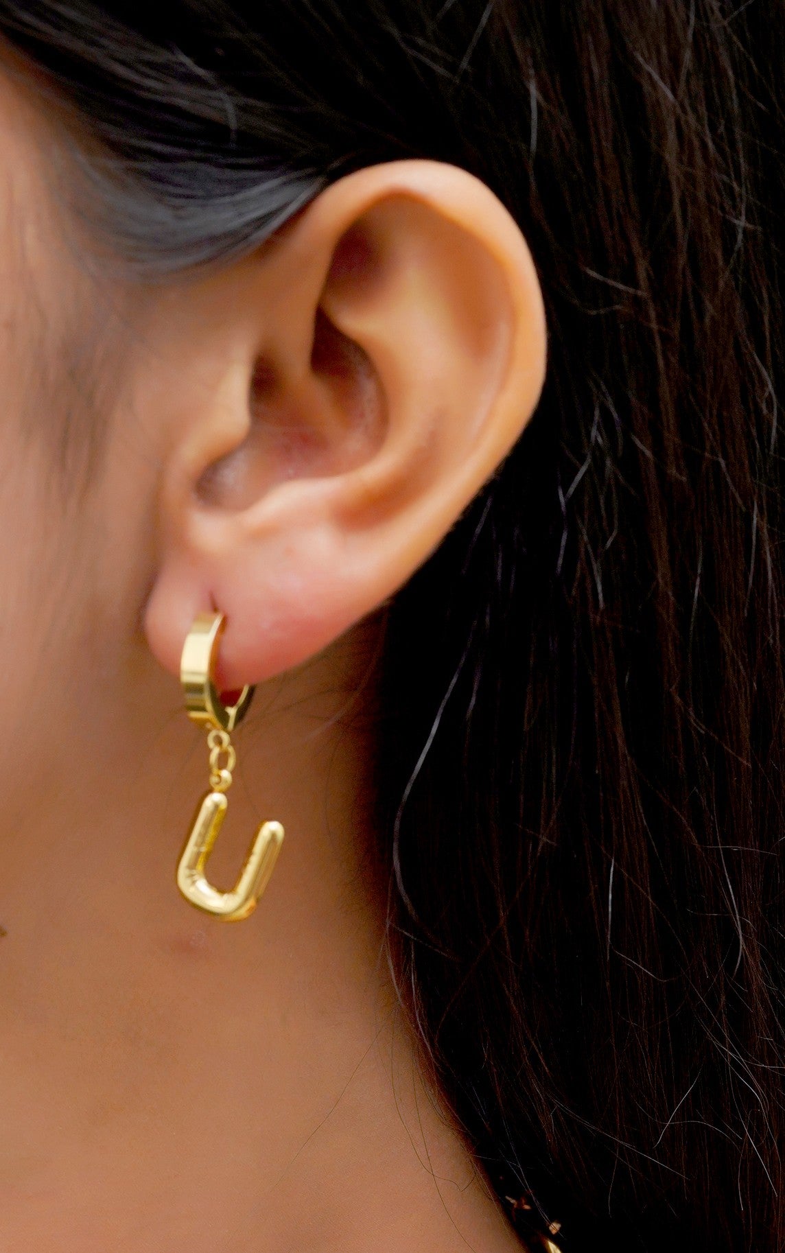 Loop & Line Earrings